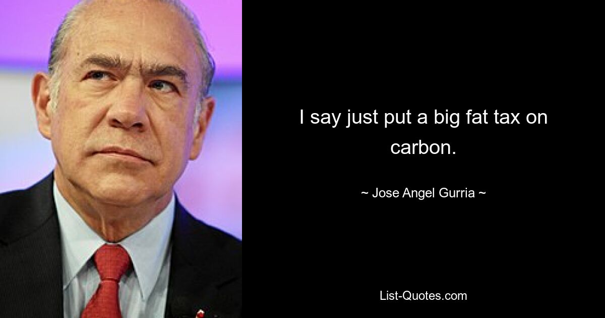 I say just put a big fat tax on carbon. — © Jose Angel Gurria