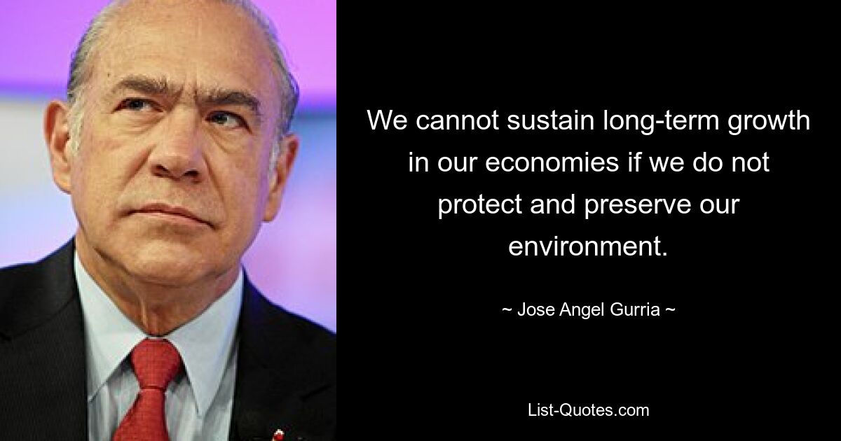 We cannot sustain long-term growth in our economies if we do not protect and preserve our environment. — © Jose Angel Gurria