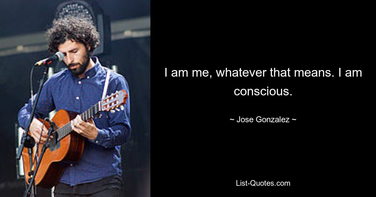 I am me, whatever that means. I am conscious. — © Jose Gonzalez