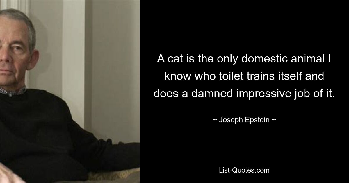 A cat is the only domestic animal I know who toilet trains itself and does a damned impressive job of it. — © Joseph Epstein