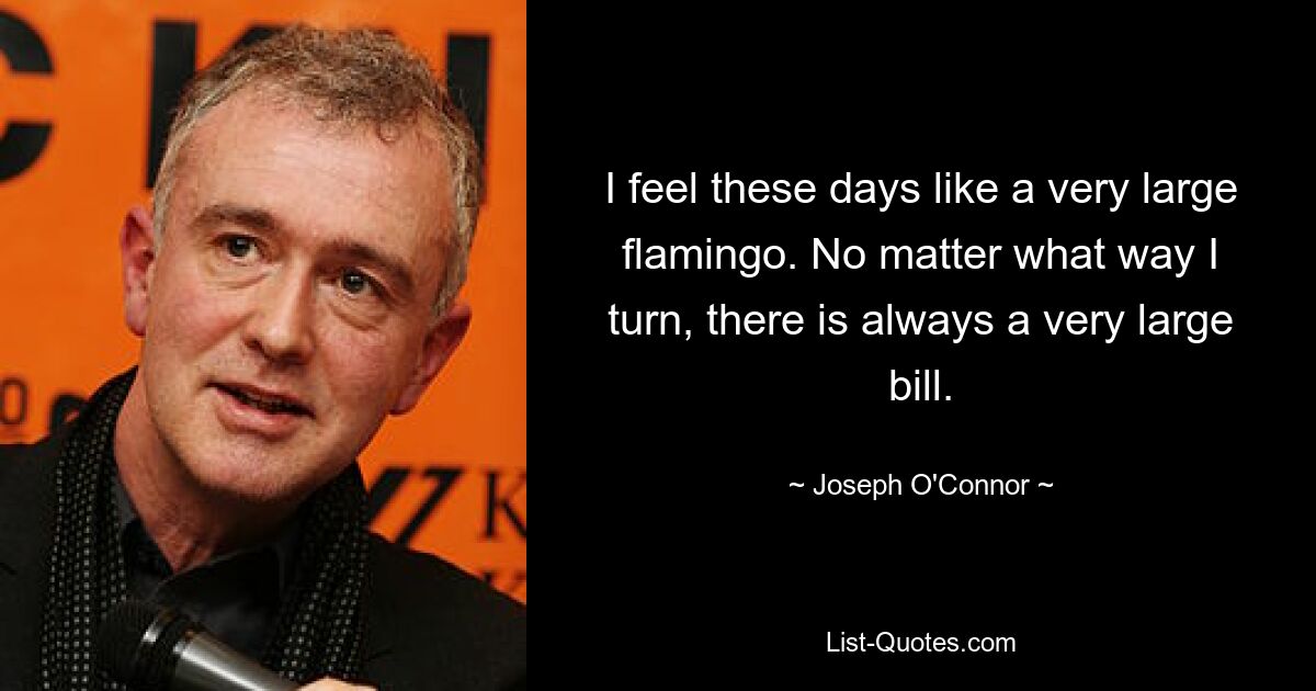 I feel these days like a very large flamingo. No matter what way I turn, there is always a very large bill. — © Joseph O'Connor