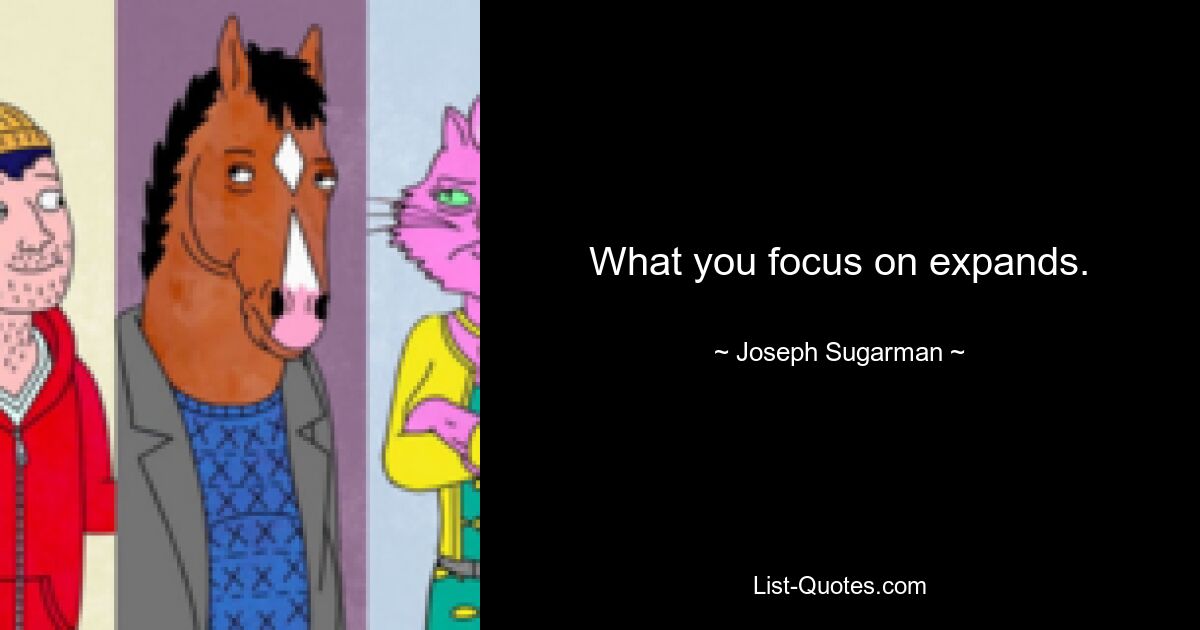 What you focus on expands. — © Joseph Sugarman