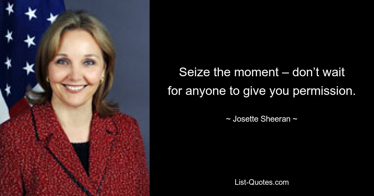 Seize the moment – don’t wait for anyone to give you permission. — © Josette Sheeran