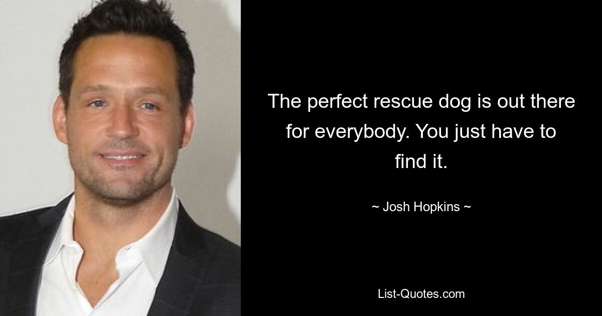 The perfect rescue dog is out there for everybody. You just have to find it. — © Josh Hopkins