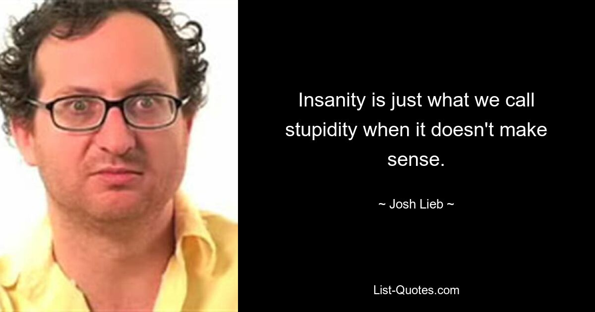 Insanity is just what we call stupidity when it doesn't make sense. — © Josh Lieb