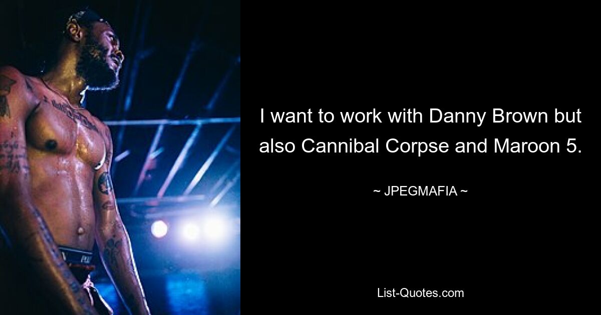 I want to work with Danny Brown but also Cannibal Corpse and Maroon 5. — © JPEGMAFIA