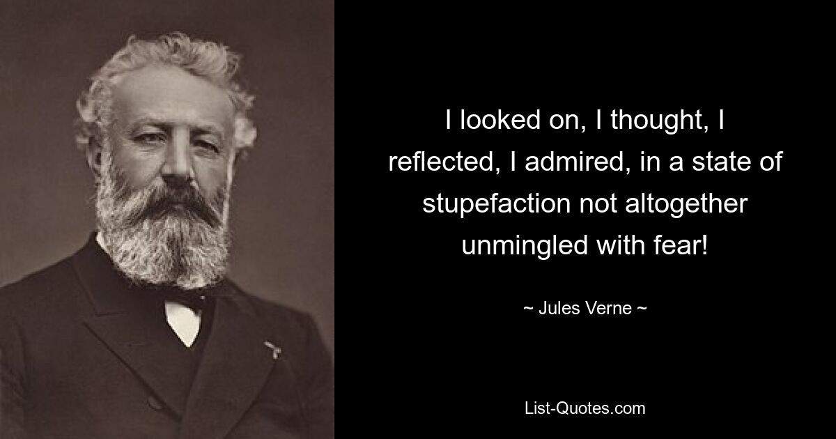 I looked on, I thought, I reflected, I admired, in a state of stupefaction not altogether unmingled with fear! — © Jules Verne