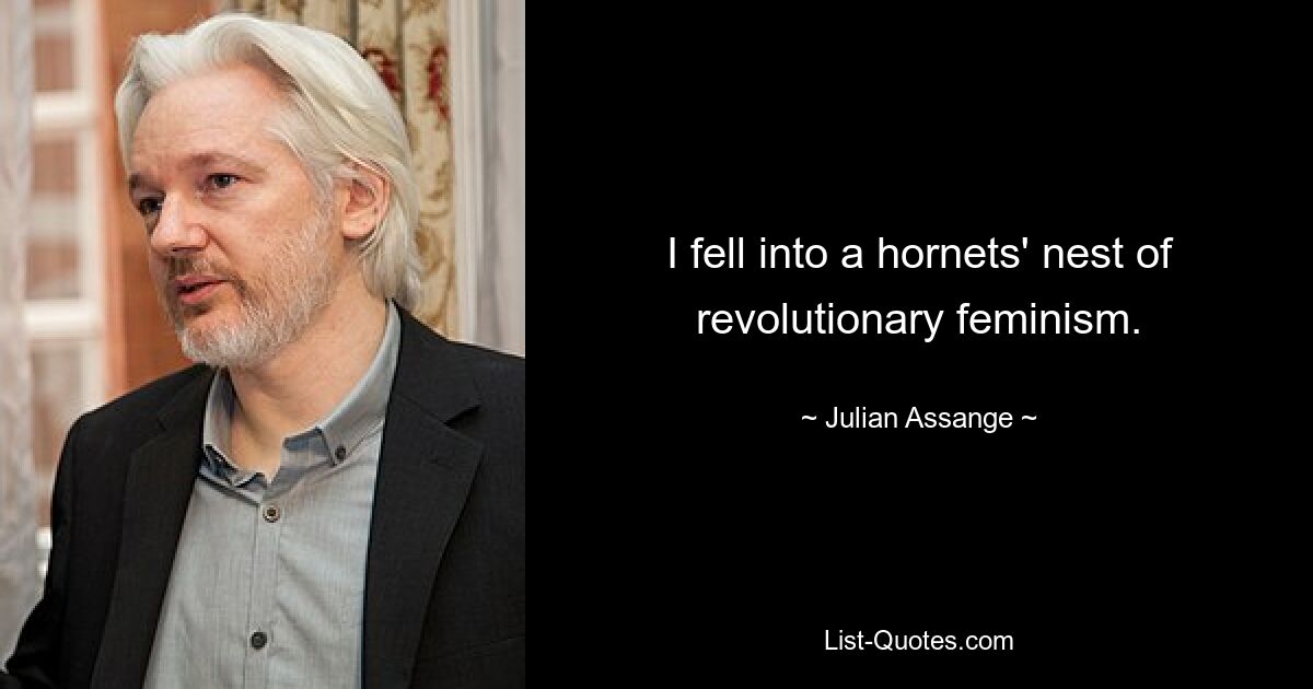 I fell into a hornets' nest of revolutionary feminism. — © Julian Assange