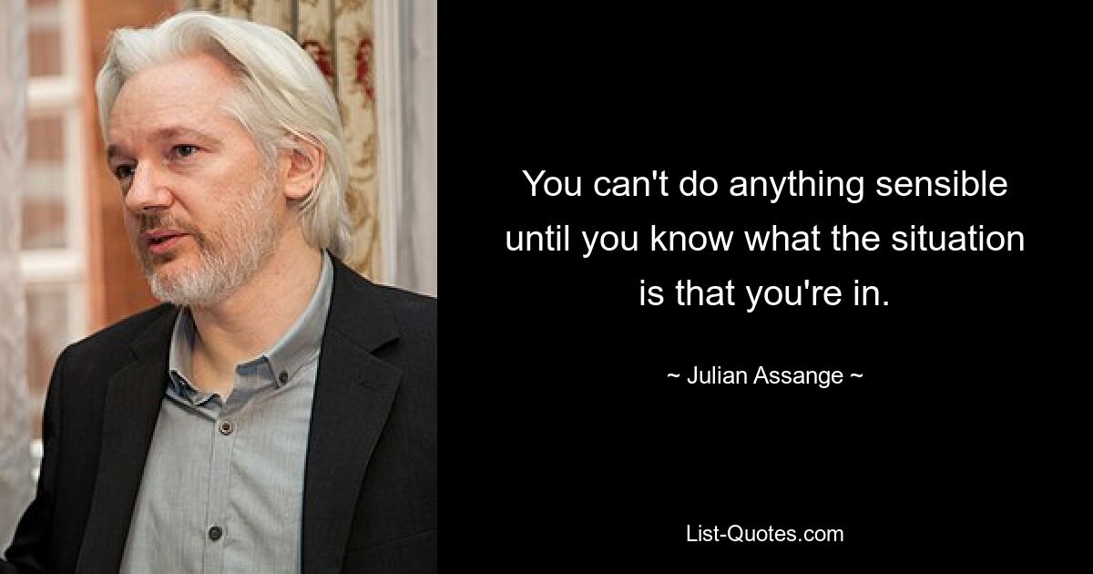 You can't do anything sensible until you know what the situation is that you're in. — © Julian Assange