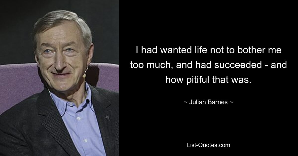 Я хотел, чтобы жизнь меня не слишком беспокоила, и мне это удалось – и как это было жалко. — © Джулиан Барнс 