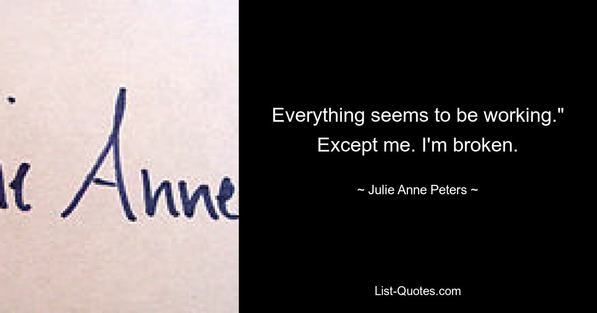 Everything seems to be working." Except me. I'm broken. — © Julie Anne Peters