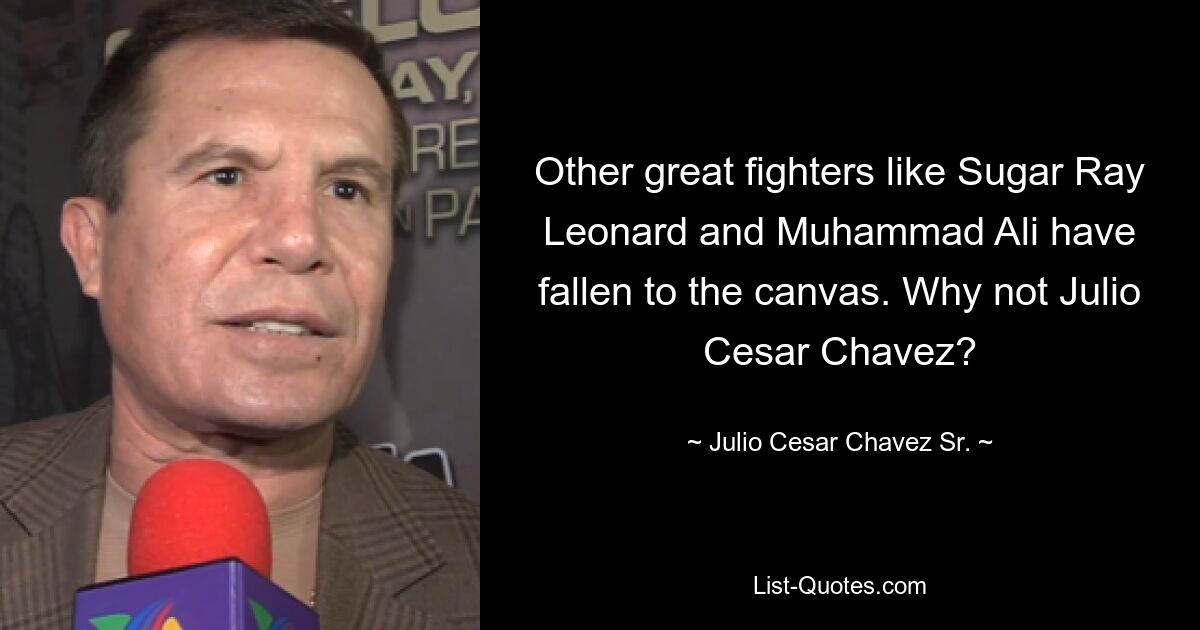 Other great fighters like Sugar Ray Leonard and Muhammad Ali have fallen to the canvas. Why not Julio Cesar Chavez? — © Julio Cesar Chavez Sr.