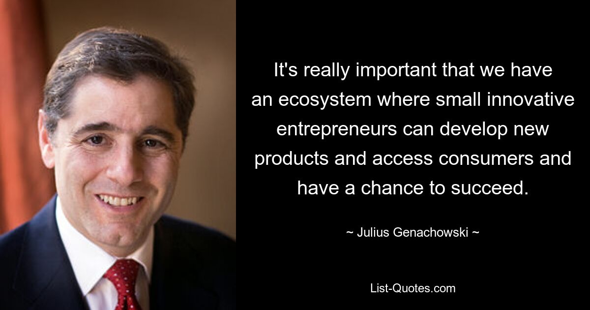 It's really important that we have an ecosystem where small innovative entrepreneurs can develop new products and access consumers and have a chance to succeed. — © Julius Genachowski