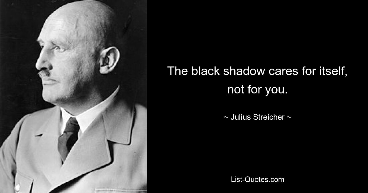 The black shadow cares for itself, not for you. — © Julius Streicher