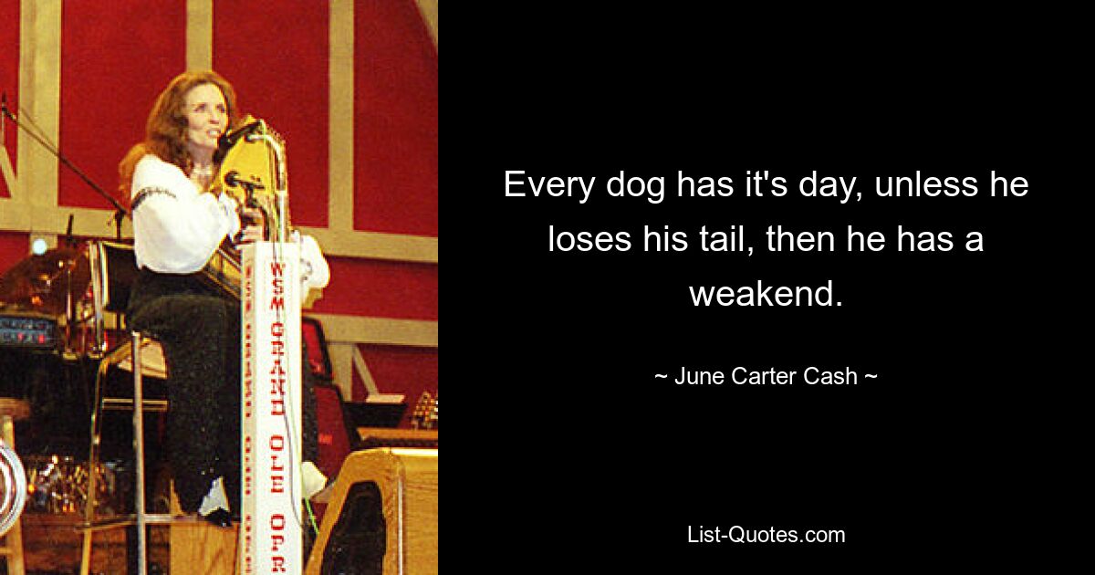 Every dog has it's day, unless he loses his tail, then he has a weakend. — © June Carter Cash