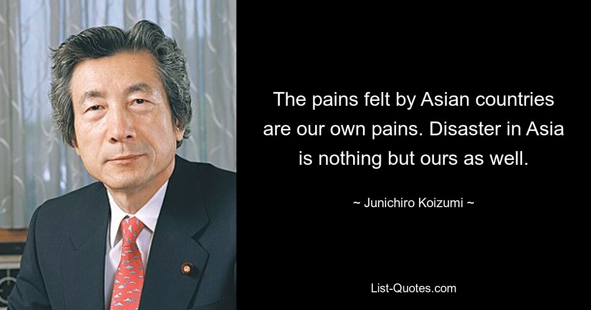 The pains felt by Asian countries are our own pains. Disaster in Asia is nothing but ours as well. — © Junichiro Koizumi