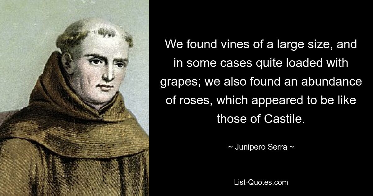 We found vines of a large size, and in some cases quite loaded with grapes; we also found an abundance of roses, which appeared to be like those of Castile. — © Junipero Serra