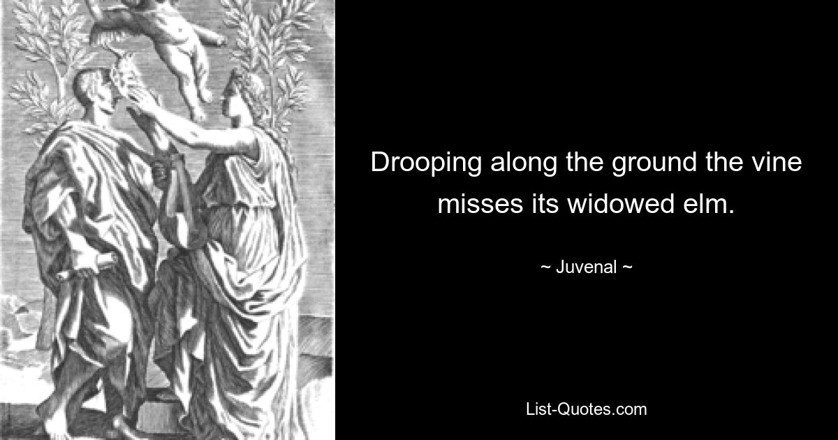 Drooping along the ground the vine misses its widowed elm. — © Juvenal