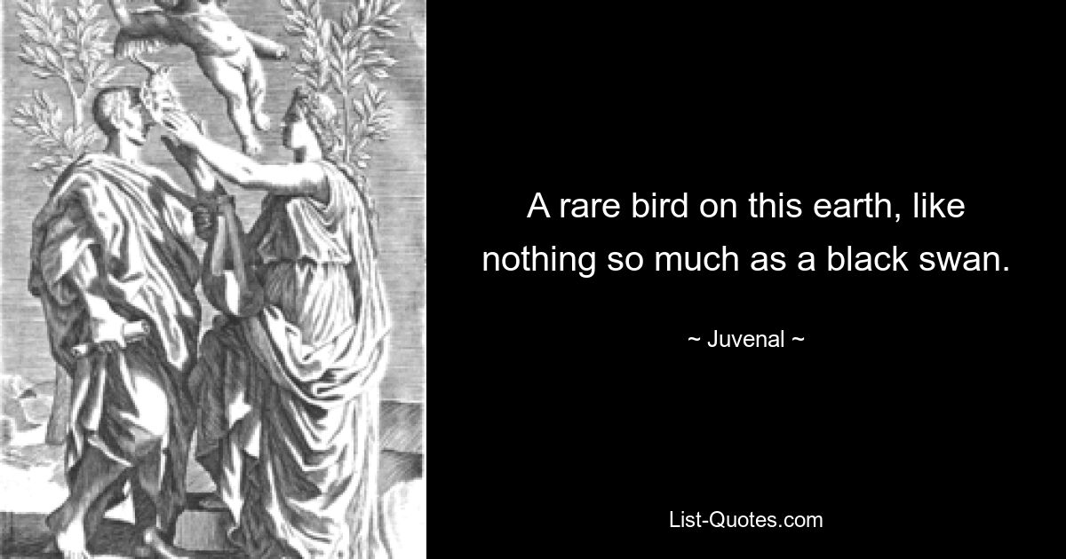 A rare bird on this earth, like nothing so much as a black swan. — © Juvenal