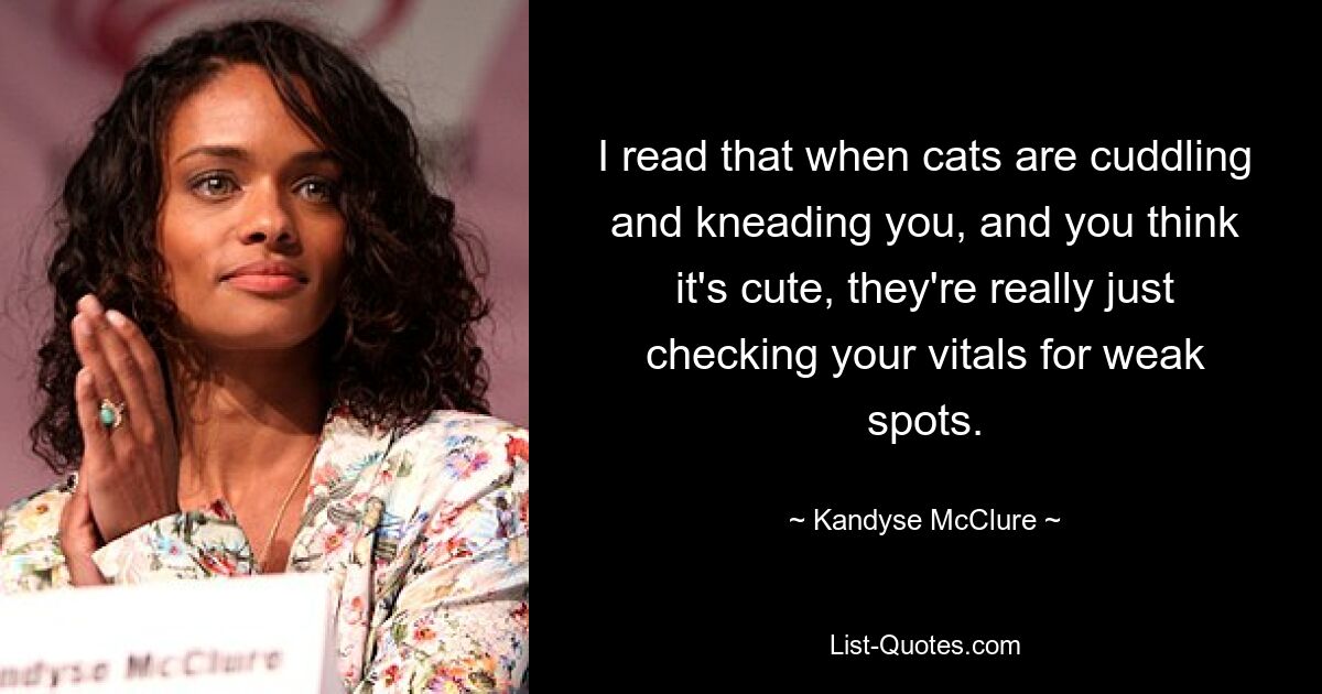 I read that when cats are cuddling and kneading you, and you think it's cute, they're really just checking your vitals for weak spots. — © Kandyse McClure