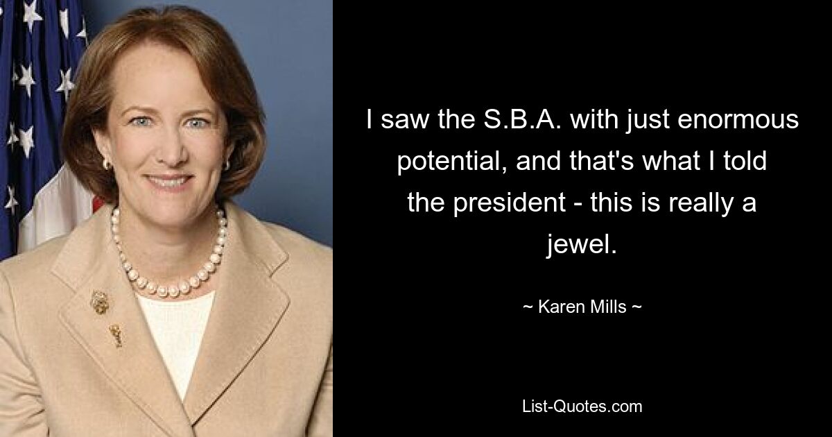 I saw the S.B.A. with just enormous potential, and that's what I told the president - this is really a jewel. — © Karen Mills