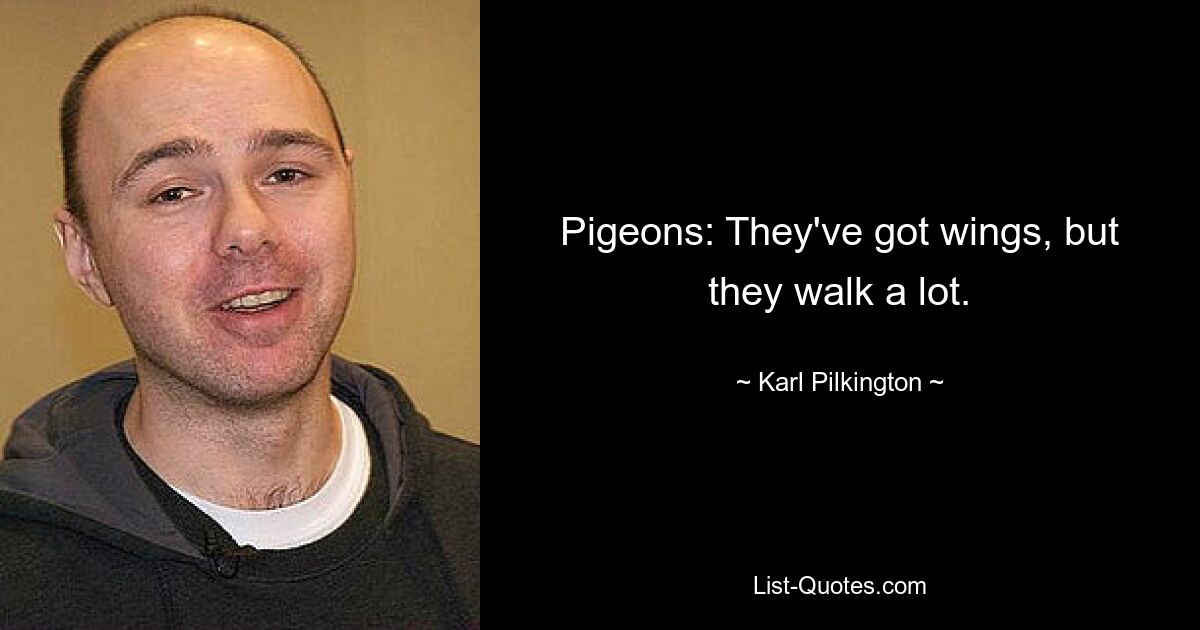 Pigeons: They've got wings, but they walk a lot. — © Karl Pilkington