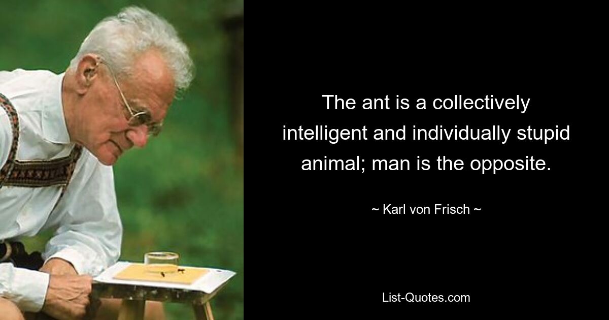 The ant is a collectively intelligent and individually stupid animal; man is the opposite. — © Karl von Frisch