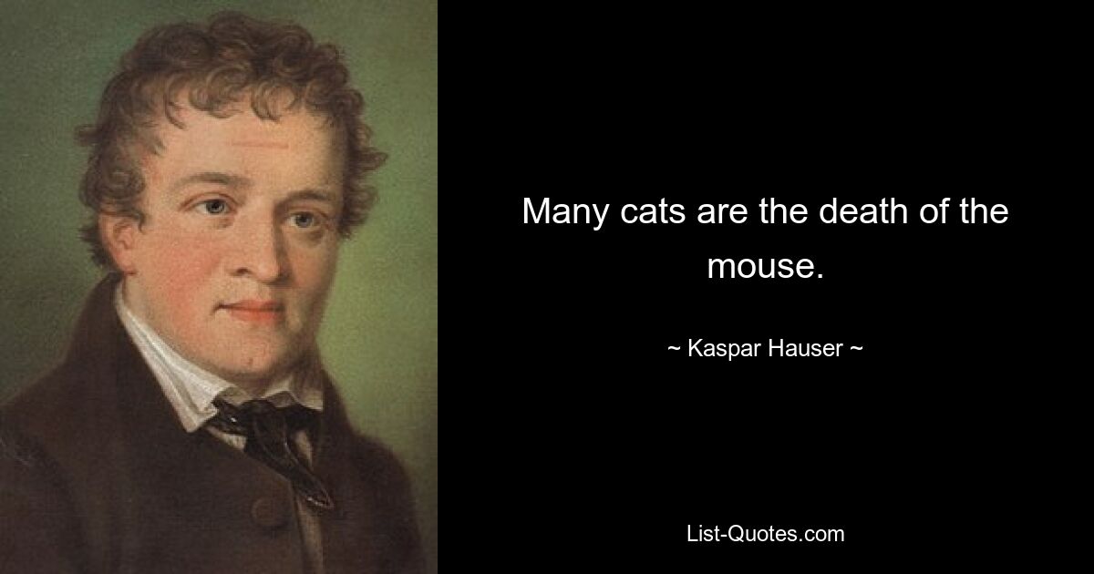 Many cats are the death of the mouse. — © Kaspar Hauser