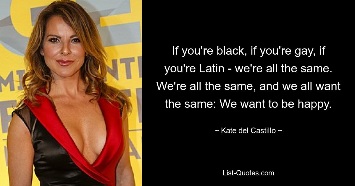 If you're black, if you're gay, if you're Latin - we're all the same. We're all the same, and we all want the same: We want to be happy. — © Kate del Castillo