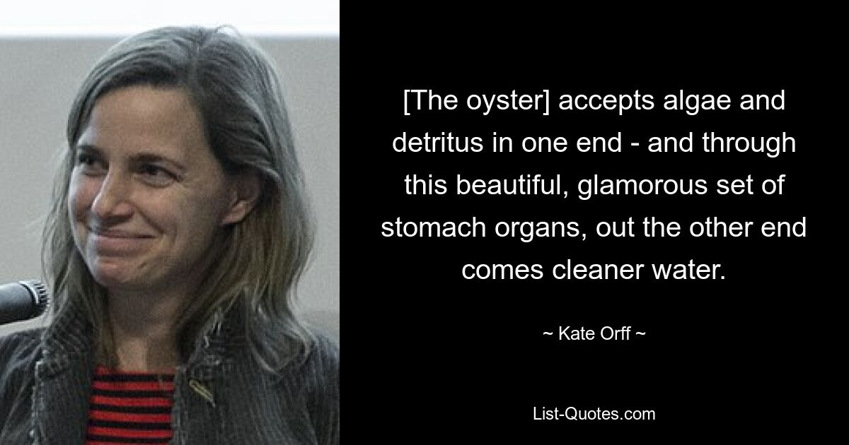 [The oyster] accepts algae and detritus in one end - and through this beautiful, glamorous set of stomach organs, out the other end comes cleaner water. — © Kate Orff