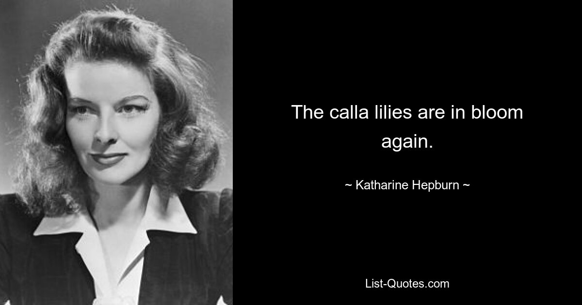 The calla lilies are in bloom again. — © Katharine Hepburn