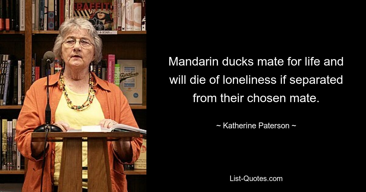 Mandarin ducks mate for life and will die of loneliness if separated from their chosen mate. — © Katherine Paterson