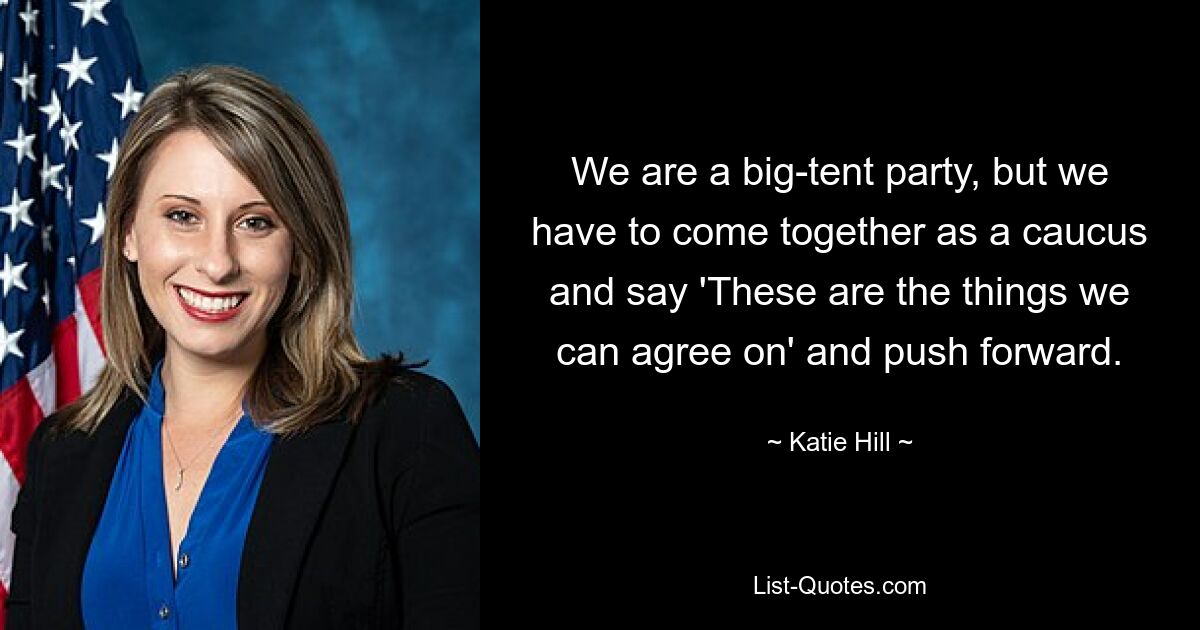 We are a big-tent party, but we have to come together as a caucus and say 'These are the things we can agree on' and push forward. — © Katie Hill