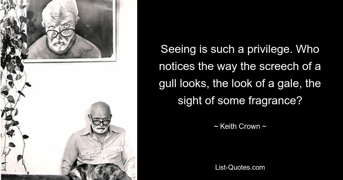 Seeing is such a privilege. Who notices the way the screech of a gull looks, the look of a gale, the sight of some fragrance? — © Keith Crown