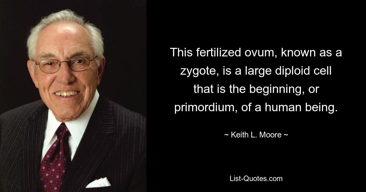 This fertilized ovum, known as a zygote, is a large diploid cell that is the beginning, or primordium, of a human being. — © Keith L. Moore