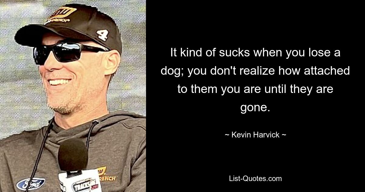 It kind of sucks when you lose a dog; you don't realize how attached to them you are until they are gone. — © Kevin Harvick