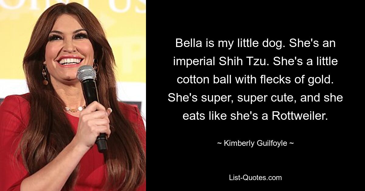 Bella is my little dog. She's an imperial Shih Tzu. She's a little cotton ball with flecks of gold. She's super, super cute, and she eats like she's a Rottweiler. — © Kimberly Guilfoyle