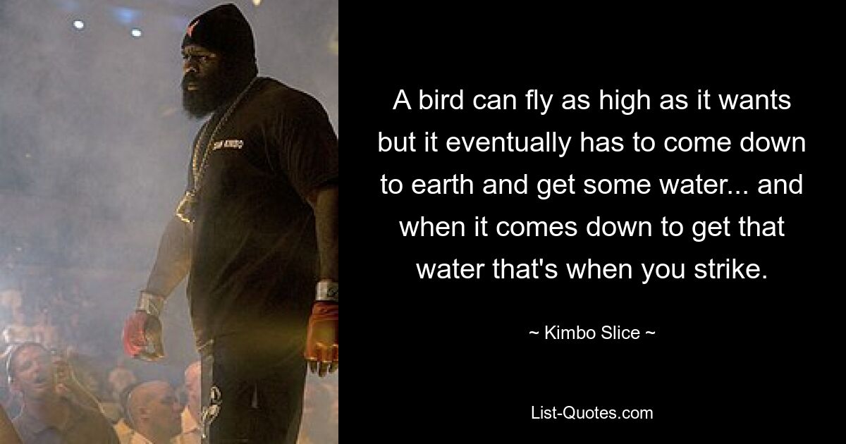 A bird can fly as high as it wants but it eventually has to come down to earth and get some water... and when it comes down to get that water that's when you strike. — © Kimbo Slice