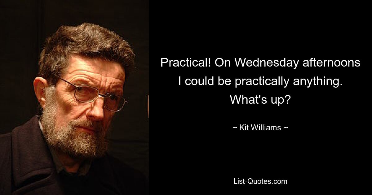 Practical! On Wednesday afternoons I could be practically anything. What's up? — © Kit Williams