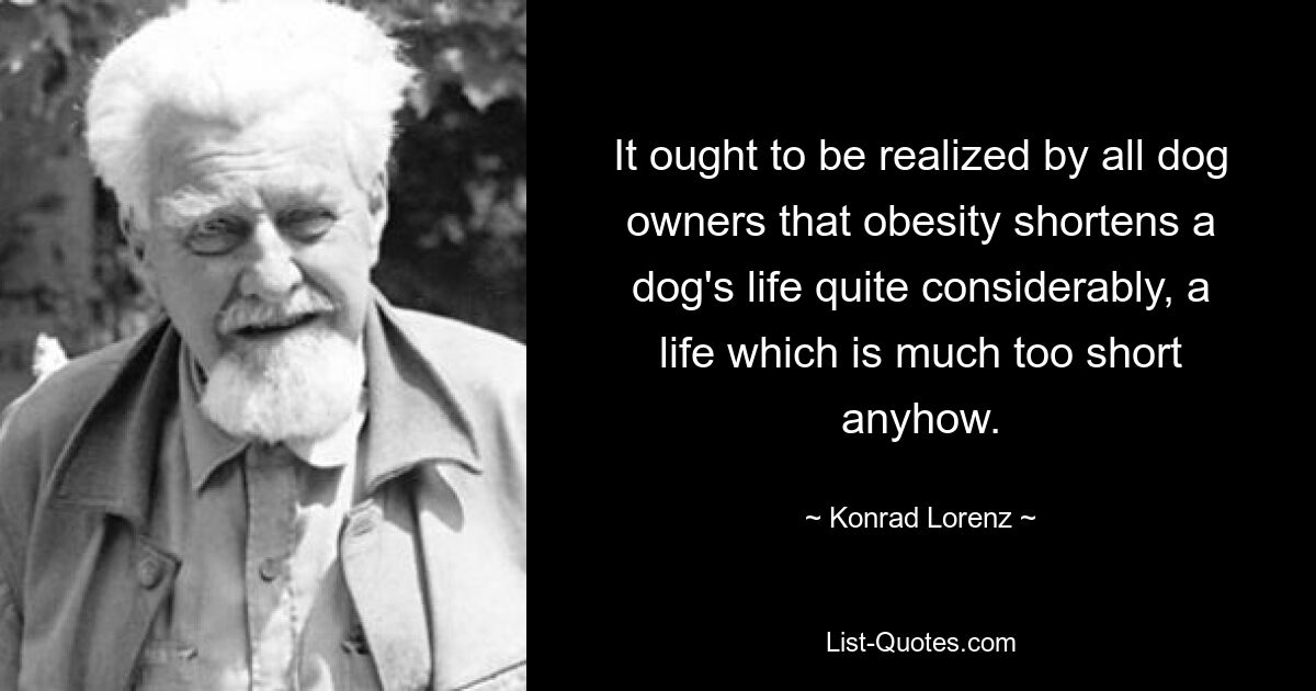 It ought to be realized by all dog owners that obesity shortens a dog's life quite considerably, a life which is much too short anyhow. — © Konrad Lorenz