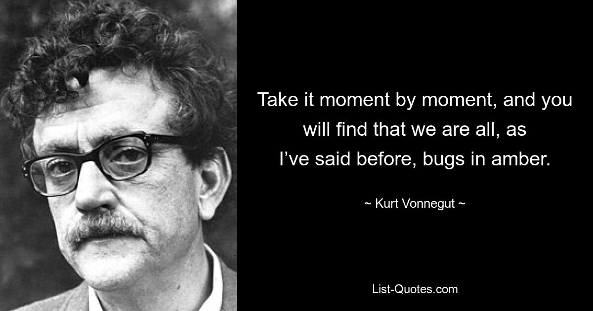 Take it moment by moment, and you will find that we are all, as I’ve said before, bugs in amber. — © Kurt Vonnegut