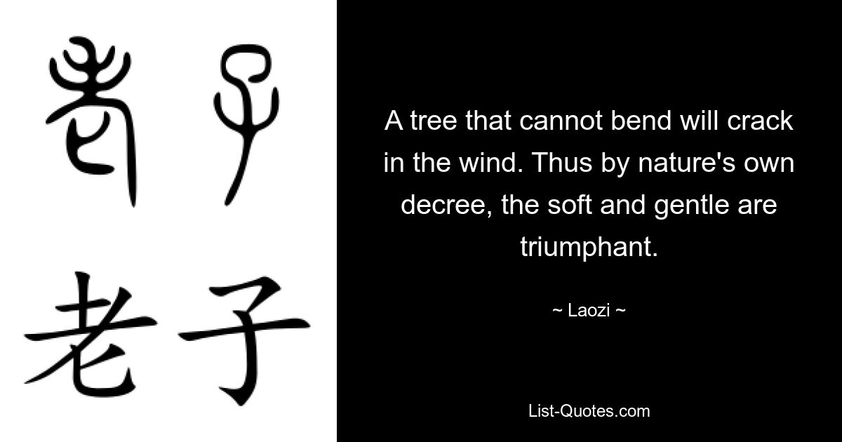 A tree that cannot bend will crack in the wind. Thus by nature's own decree, the soft and gentle are triumphant. — © Laozi