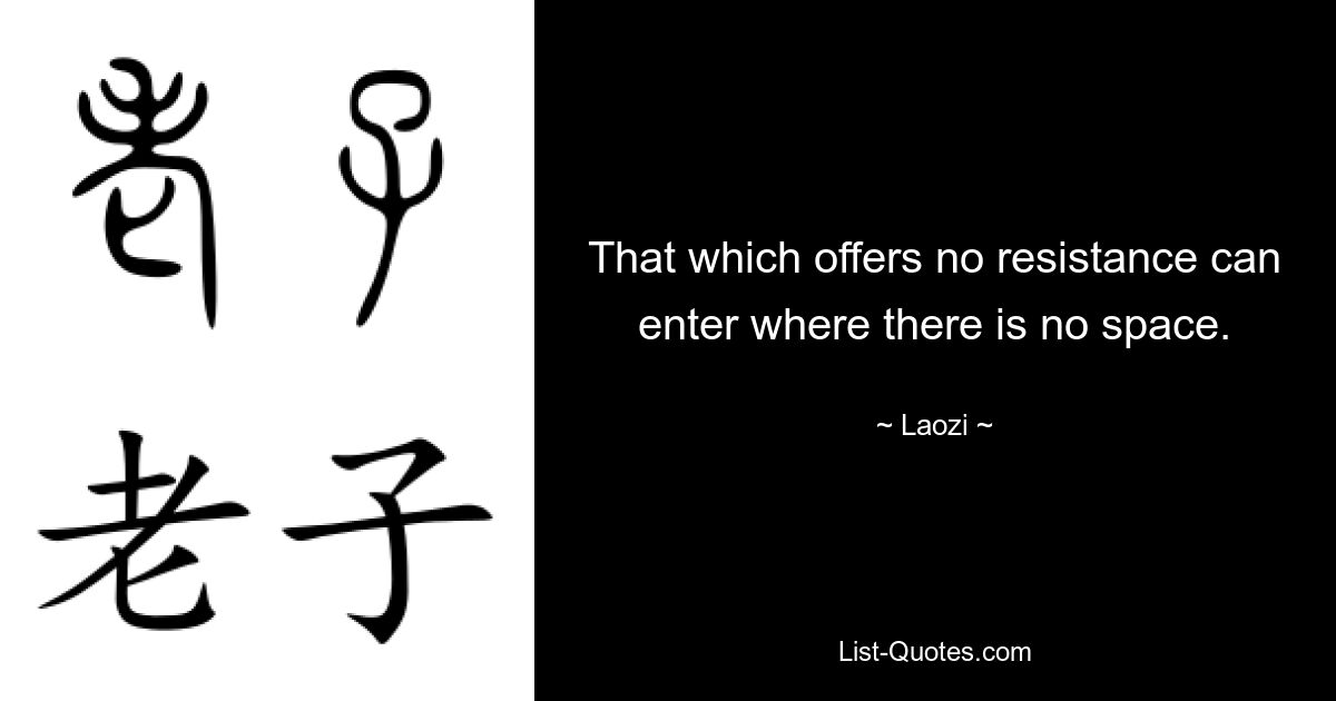 That which offers no resistance can enter where there is no space. — © Laozi