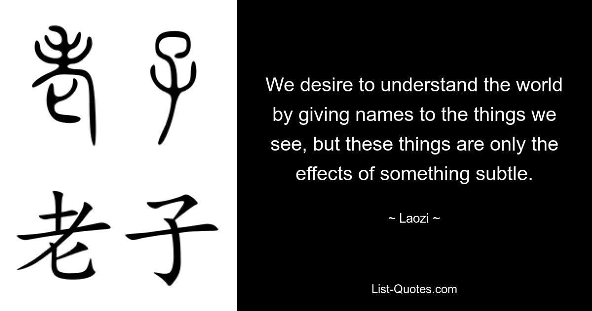 Мы хотим понять мир, давая имена вещам, которые видим, но эти вещи являются лишь следствием чего-то тонкого. — © Лаози 