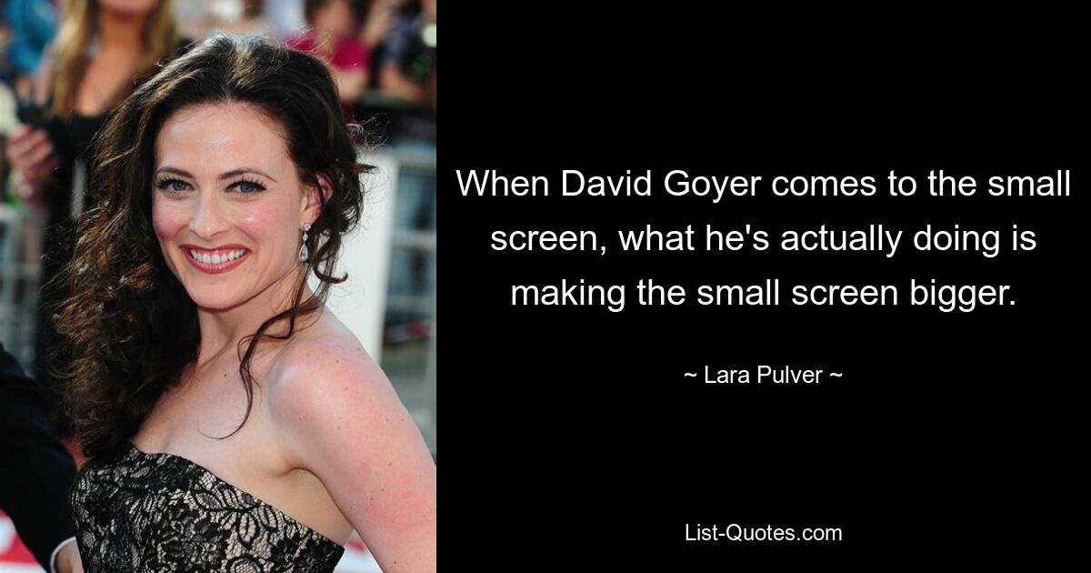 When David Goyer comes to the small screen, what he's actually doing is making the small screen bigger. — © Lara Pulver