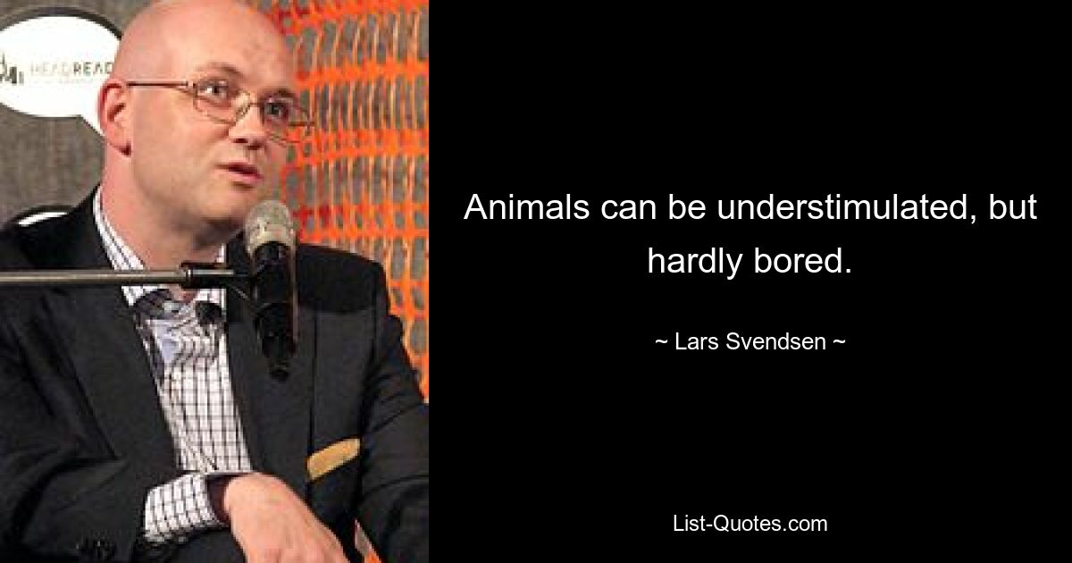 Animals can be understimulated, but hardly bored. — © Lars Svendsen