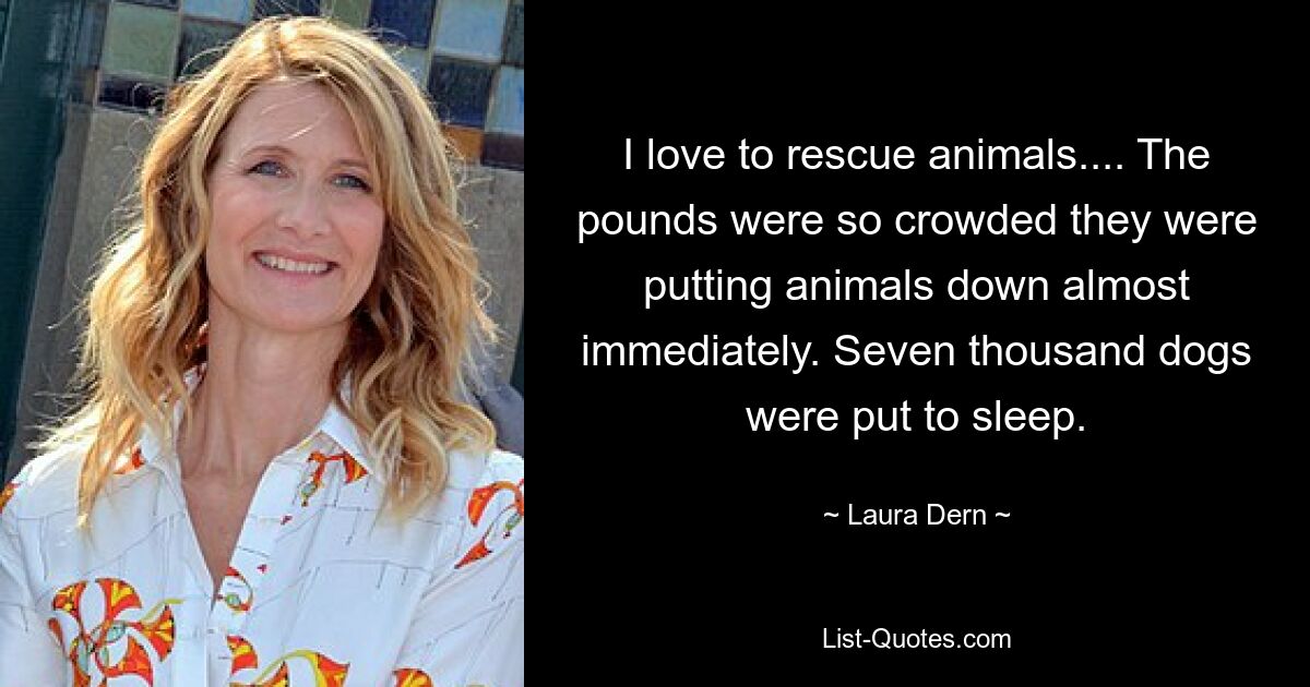 I love to rescue animals.... The pounds were so crowded they were putting animals down almost immediately. Seven thousand dogs were put to sleep. — © Laura Dern