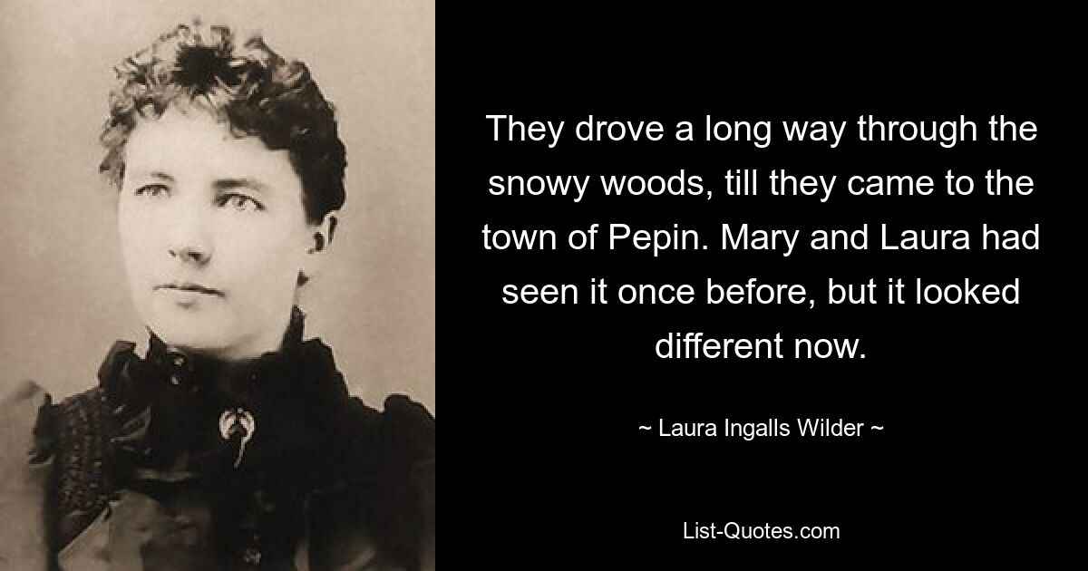 Sie fuhren eine lange Strecke durch die verschneiten Wälder, bis sie die Stadt Pippin erreichten. Mary und Laura hatten es schon einmal gesehen, aber jetzt sah es anders aus. — © Laura Ingalls Wilder