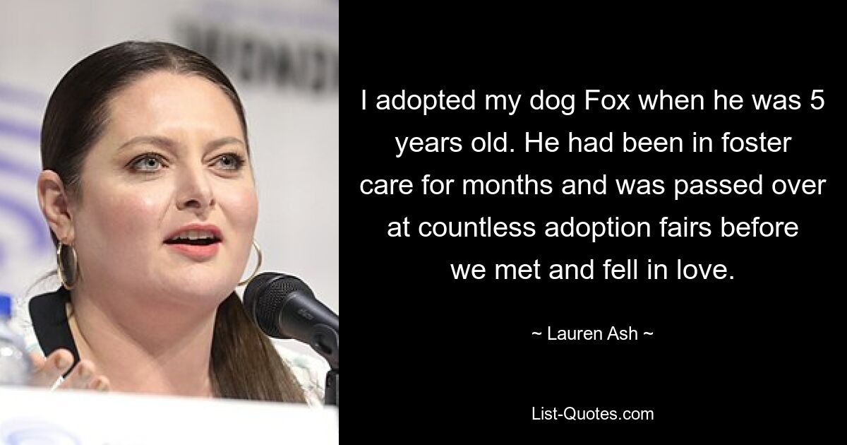 I adopted my dog Fox when he was 5 years old. He had been in foster care for months and was passed over at countless adoption fairs before we met and fell in love. — © Lauren Ash