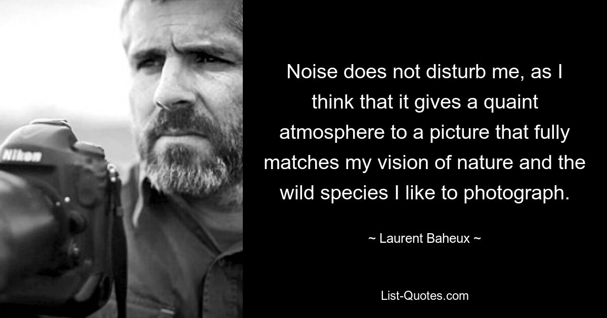 Noise does not disturb me, as I think that it gives a quaint atmosphere to a picture that fully matches my vision of nature and the wild species I like to photograph. — © Laurent Baheux